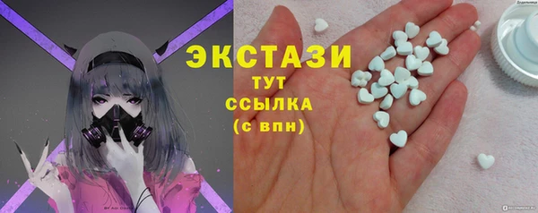 гидра Краснослободск