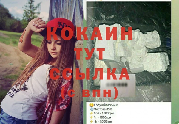 гидра Краснослободск