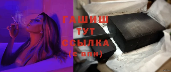 гидра Краснослободск