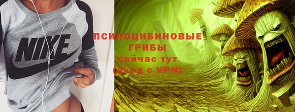 гидра Краснослободск