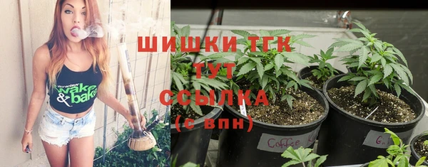 сатива Краснотурьинск