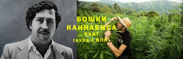 сатива Краснотурьинск