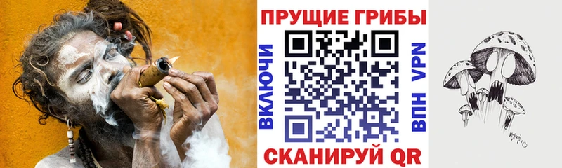 Купить где Лебедянь Галлюциногенные грибы Psilocybine cubensis